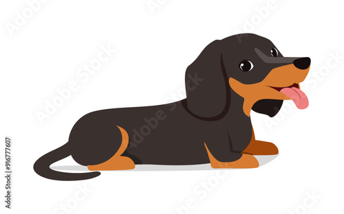 happy cute dachshund dog with good quality and design