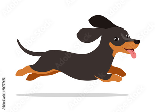 happy cute dachshund dog with good quality and design