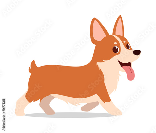 happy cute corgi dog with good quality and design