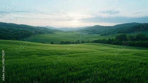 Overhead view of a humid countryside with a gentle haze over rolling hills and farmland, capturing the serene and atmospheric scene 8K , high-resolution, ultra HD,up32K HD