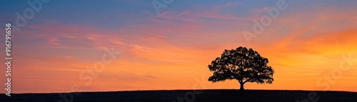 A majestic oak tree silhouette outlined against a vibrant sunset sky, with warm golden and orange hues blending seamlessly 8K , high-resolution, ultra HD,up32K HD