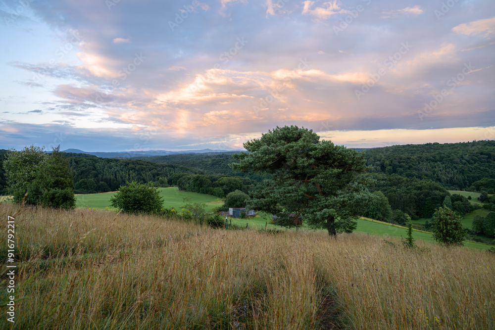 Obraz premium Summer landscape, Eifel close to Blankenheim, North Rhine Westphalia, Germany