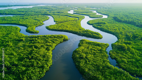 aerial_view_of_a_river_delta_with_lush