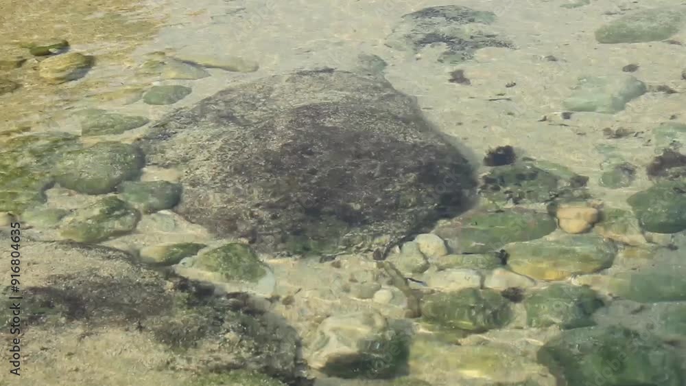 The surface of the clear sea water moves in waves following the direction of the wind. The surface of the clear sea water moves in waves following the direction of the wind.