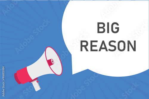 big reason button, banner, label, template for website. big reason text with colorful megaphone icon
