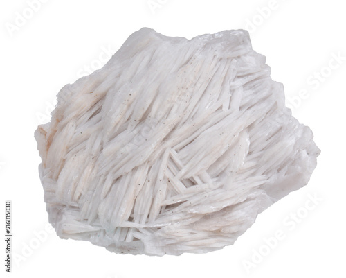Canvas-taulu Brush of white barite crystals from Belorechenskoye deposit, Adygea, Russia