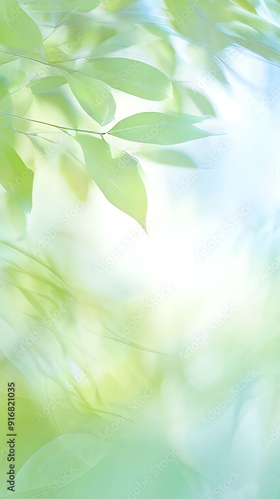 blue sky through green leaves in forest blue sky through green leaves in forest