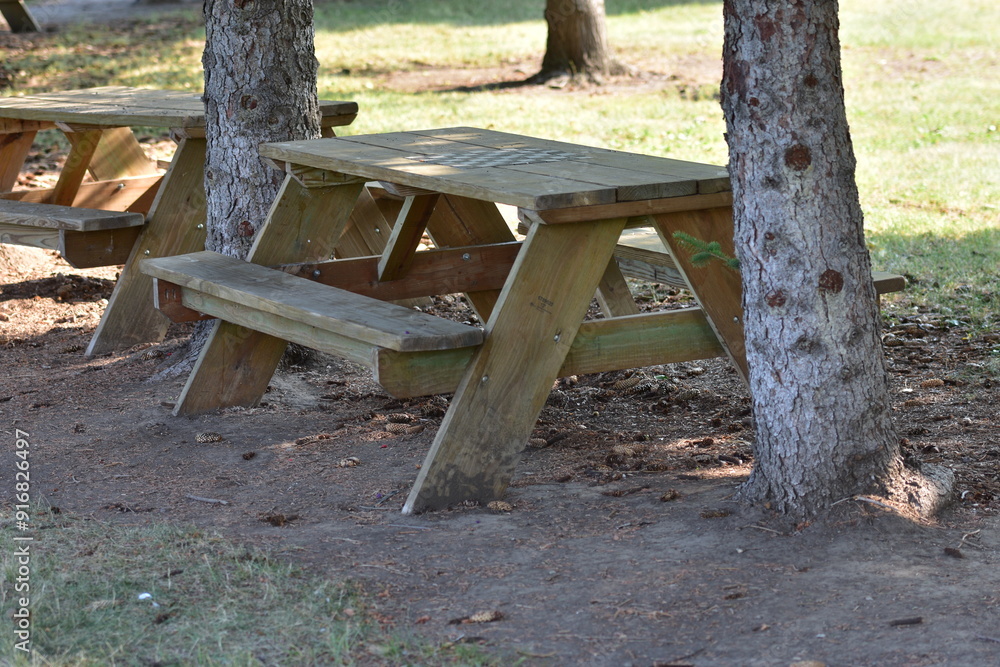 A picnic table sitting between two trees A picnic table sitting between two trees