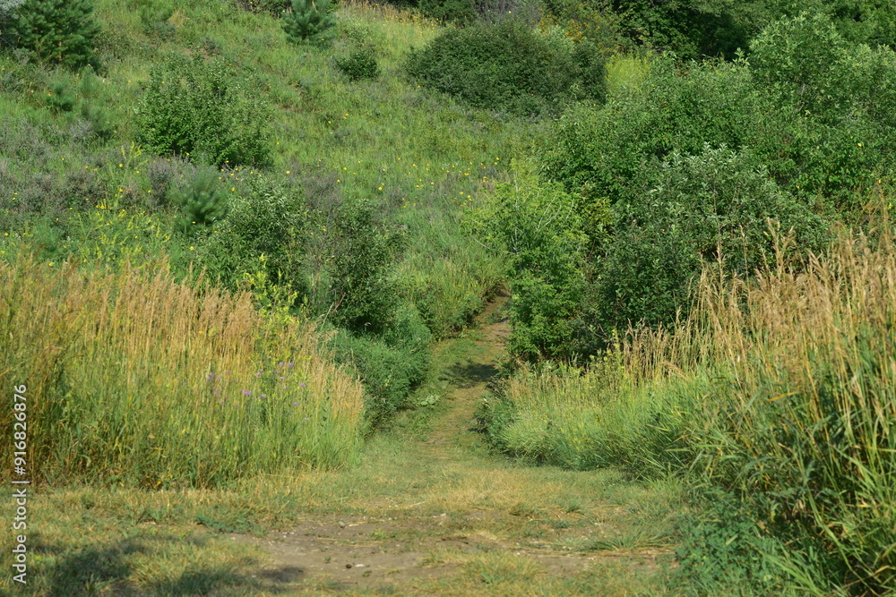 A cut path walking through nature A cut path walking through nature