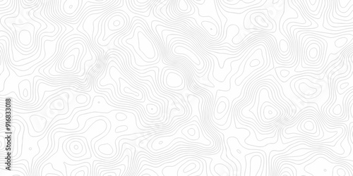 White wave grid stripe line map topography. vector geographic contour mounted map background.