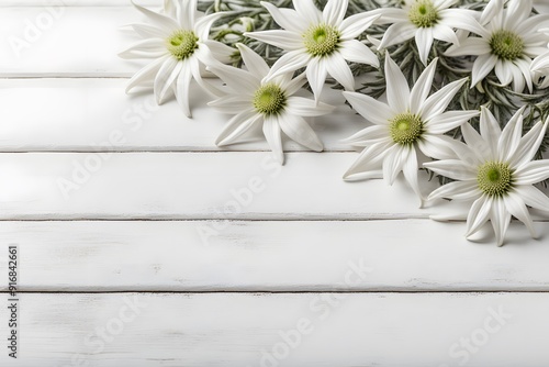 Flannel flowers on white wooden table, AI Generated photo