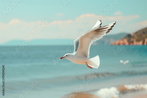 White seagull are flying above the beach