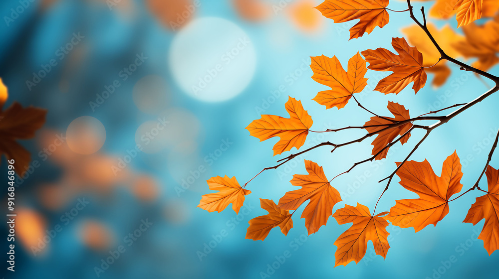 yellow and orange maple leaves framing blue bokeh highlights against a blue background AI Generated yellow and orange maple leaves framing blue bokeh highlights against a blue background AI Generated