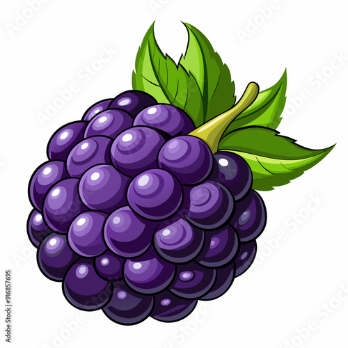 A Single Blackberry with Green Leaves