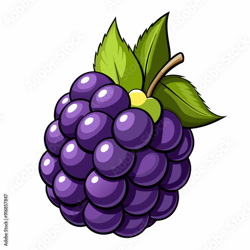 A single, ripe blackberry with green leaves