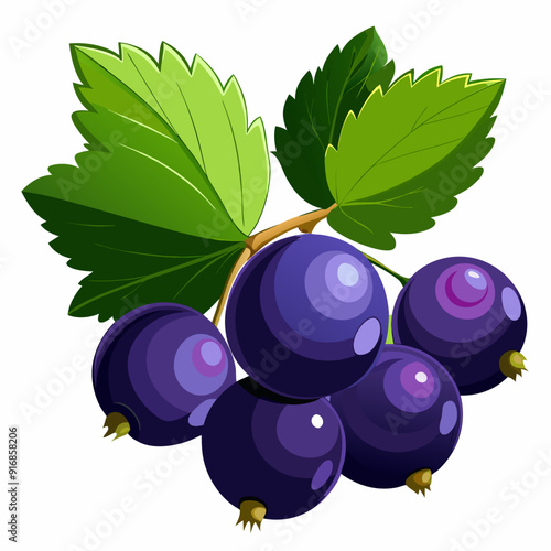 A cluster of ripe black currants with green leaves