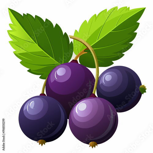 Four Black Currants with Green Leaves