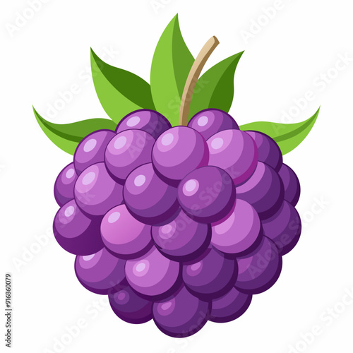 A Single Blackberry with Green Leaves