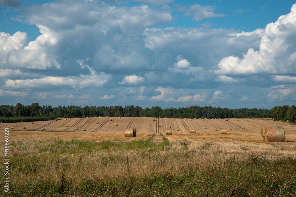 beautiful rolls of hay in a hilly field with a blue cloudy sky with highway repairs visible in the distance beautiful rolls of hay in a hilly field with a blue cloudy sky with highway repairs visible in the distance