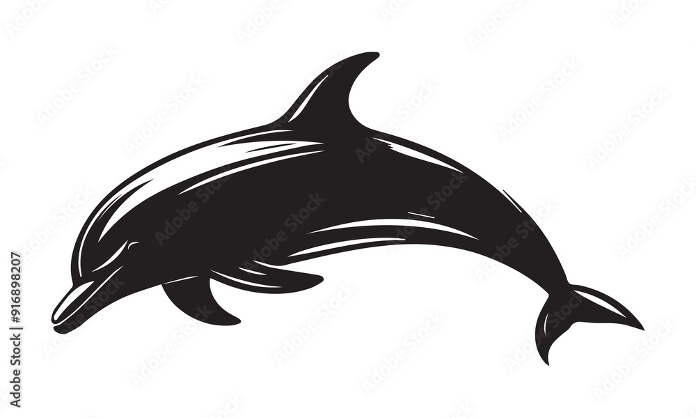 Obraz premium Dolphin silhouette