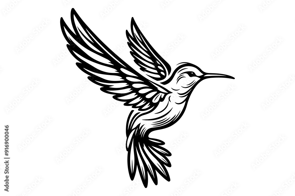 Obraz premium line art of a hummingbird silhouette vector art illustration isolated on transparent background - Generative AI