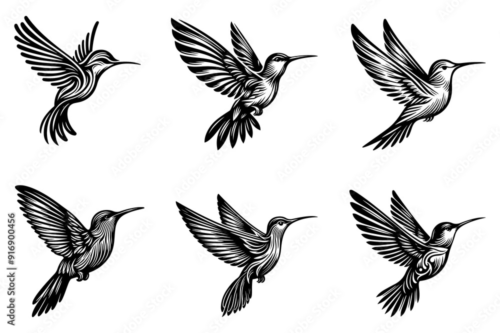 Obraz premium line art of a hummingbird set silhouette vector art illustration isolated on transparent background - Generative AI