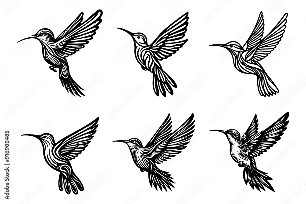Obraz premium line art of a hummingbird set silhouette vector art illustration isolated on transparent background - Generative AI
