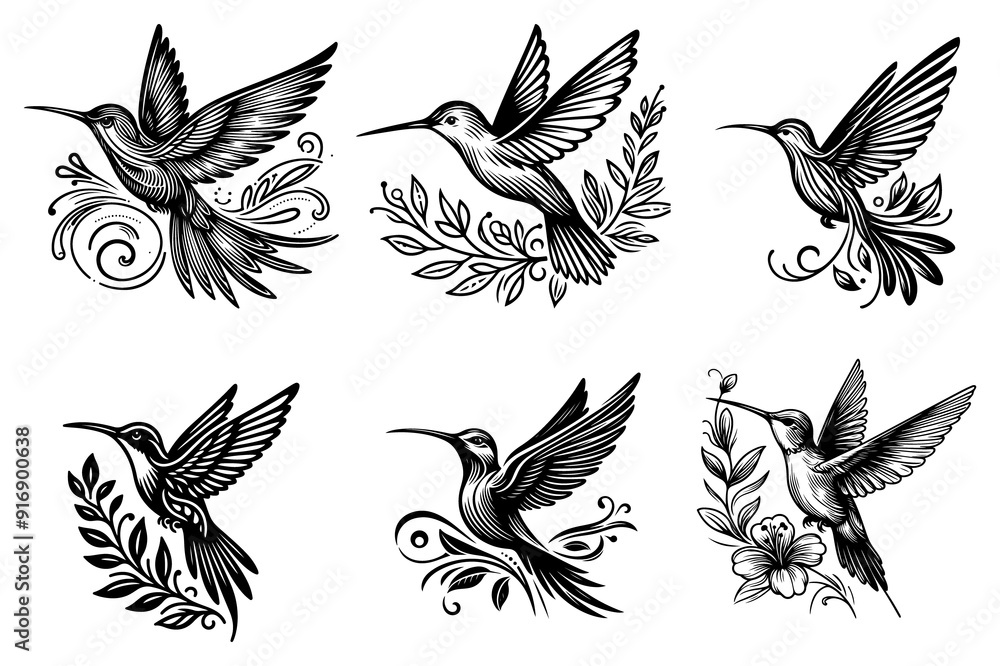line art of a hummingbird set silhouette vector art illustration isolated on transparent background - Generative AI line art of a hummingbird set silhouette vector art illustration isolated on transparent background - Generative AI