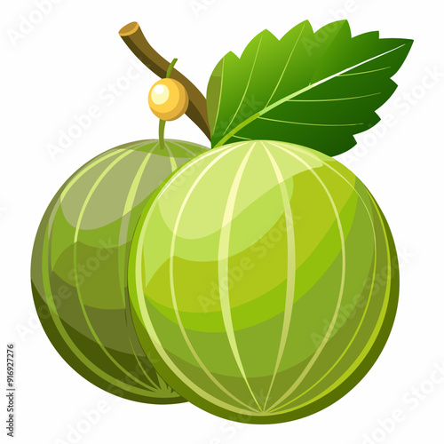 Two Green Gooseberries with a Leaf and Stem