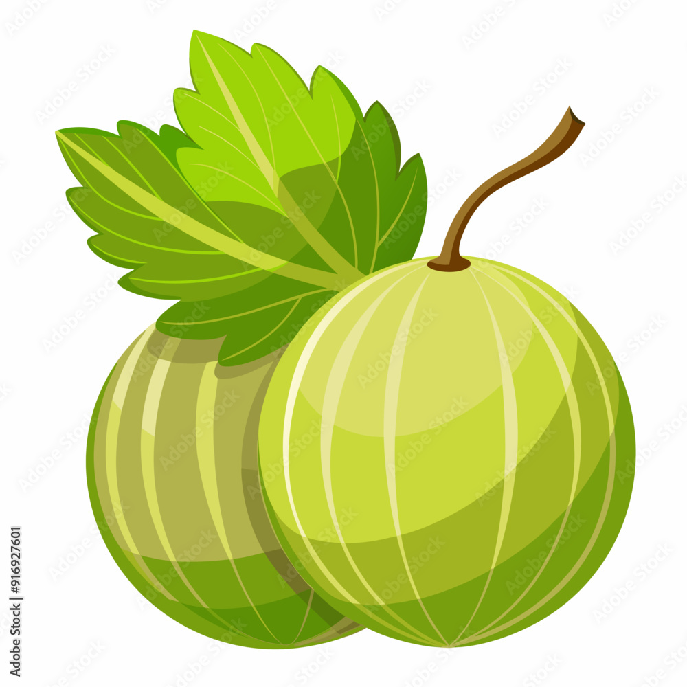 Two Green Gooseberries with a Leaf Two Green Gooseberries with a Leaf