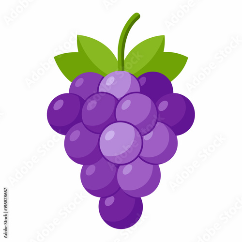 A cluster of purple grapes with green leaves and a stem