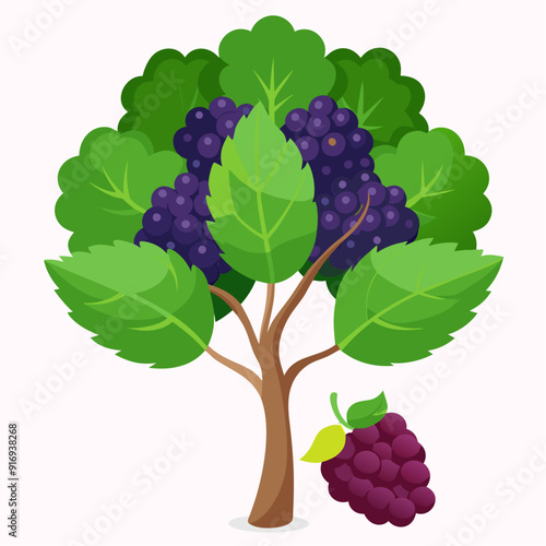 Blackberry Bush with Ripe Fruit and Green Leaves