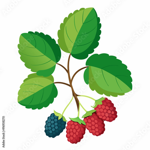 Branch with Green Leaves and Red and Black Berries