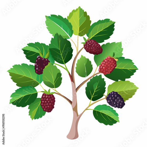 A Small Blackberry Bush with Five Ripe Berries