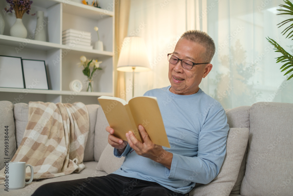 Happy elderly man reading book on comfortably on a sofa in living room enjoys peaceful and leisurely moment. Happy elderly man reading book on comfortably on a sofa in living room enjoys peaceful and leisurely moment.