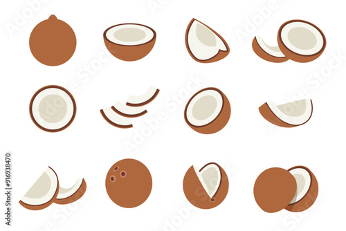 Set of brown coconut, Farm fresh coconut product emblem for grocery shop, Slides, long and cross sections, and different positions, simple flat vector illustration of vegetables and fruits.