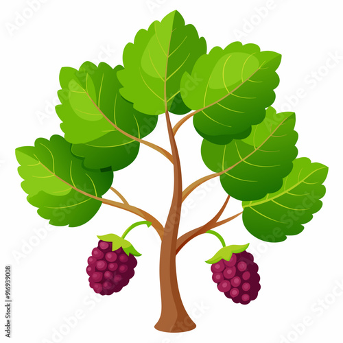 Blackberry Bush with Two Ripe Berries