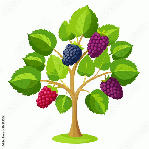 Cartoon Illustration of a Blackberry Bush with Three Ripe Blackberries