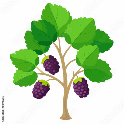 Blackberry Bush with Three Ripe Berries and Green Leaves