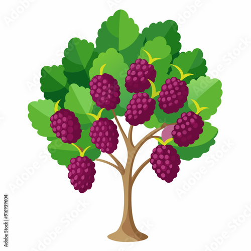 A Blackberry Bush with Ripe Purple Berries and Green Leaves