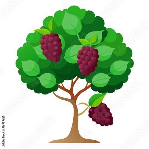 Blackberry Bush with Green Leaves and Ripe Berries