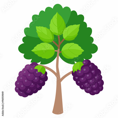 Blackberry Bush with Ripe Fruit