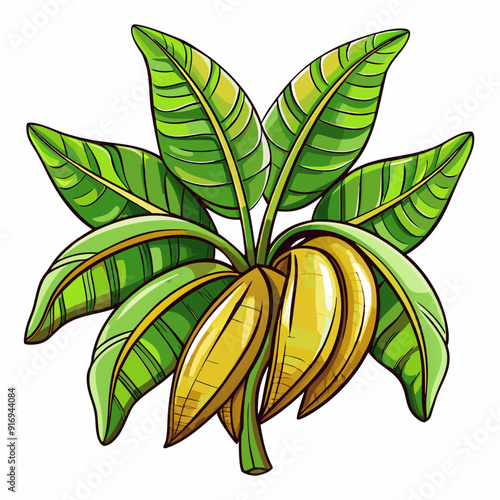 Illustration of a Banana Tree with Yellow Bananas