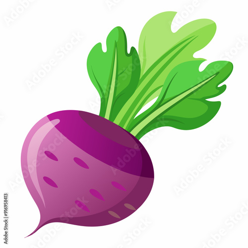 A Single Purple Beetroot with Green Leaves