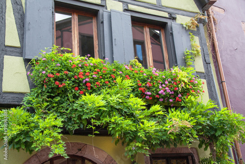 Bacs à fleurs devant les maisons à colombages du XVIIe siècle dans le centre-ville de Riquewihr photo