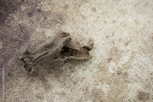 old dry driftwood on a bround background. photo