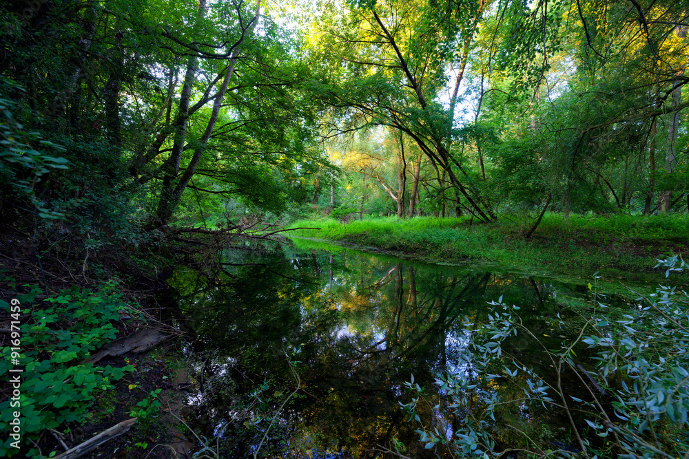 Pond in the preserved natural site of Bonny islands. Loire valley Pond in the preserved natural site of Bonny islands. Loire valley