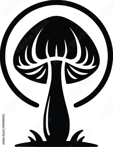 Set of different mushroom silhouettes, graphic drawing with lines, black and white cut truffle, porcini mushroom, shiitake, and chanterelles isolated. Vector illustration silhouette