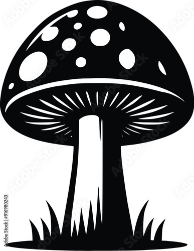 Set of different mushroom silhouettes, graphic drawing with lines, black and white cut truffle, porcini mushroom, shiitake, and chanterelles isolated. Vector illustration silhouette