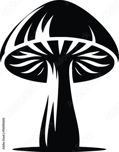 Set of different mushroom silhouettes, graphic drawing with lines, black and white cut truffle, porcini mushroom, shiitake, and chanterelles isolated. Vector illustration silhouette